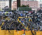 ITU World Triathlon Hamburg - 2015